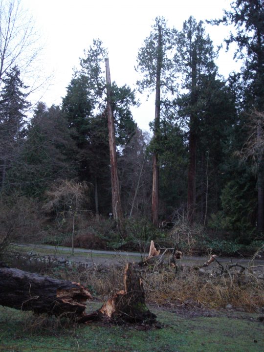 DSC00463