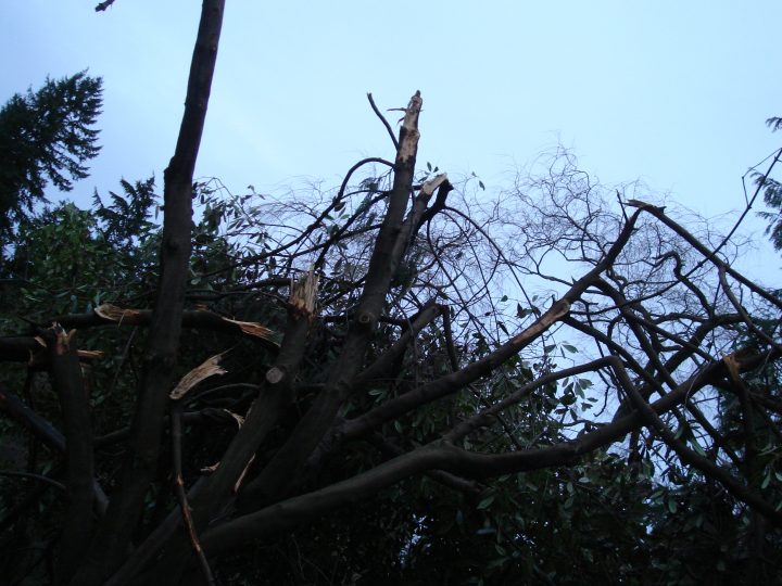 DSC00472