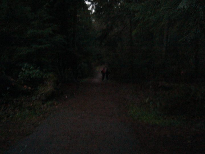 DSC00480