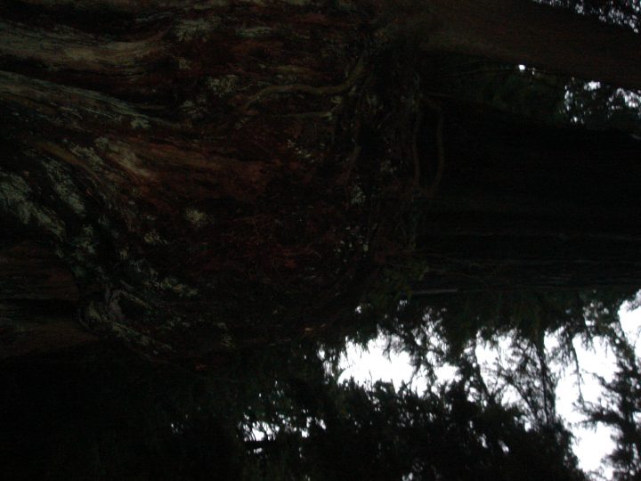 DSC00482