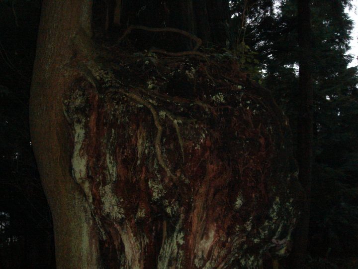 DSC00483