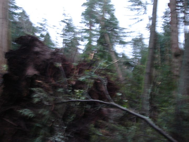 DSC00486