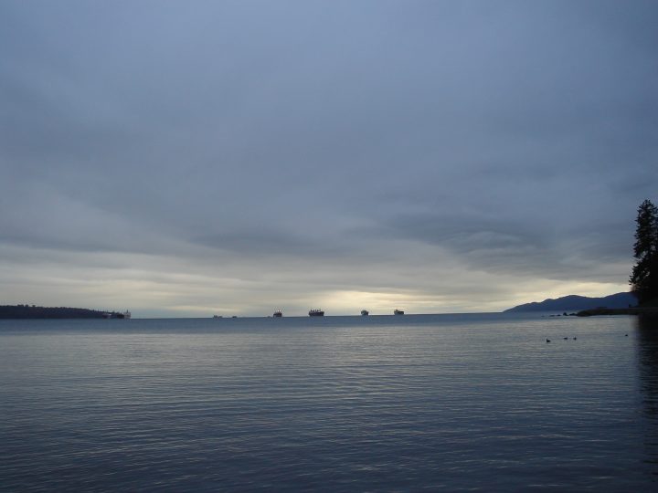 DSC00495