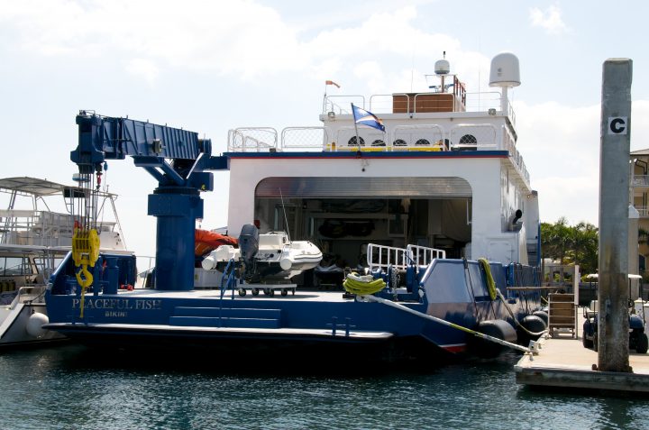 This is a chase boat that carries toys for your yacht
