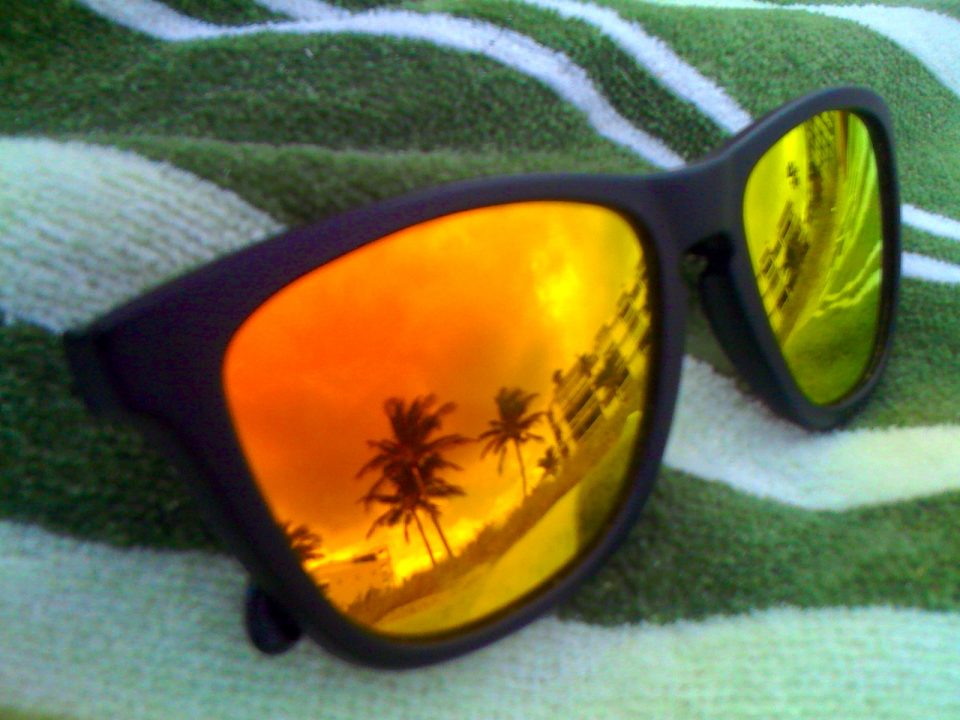 Reflection Of Palm Trees In Sunglasses