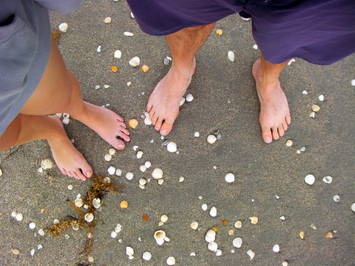 Toes n Shells