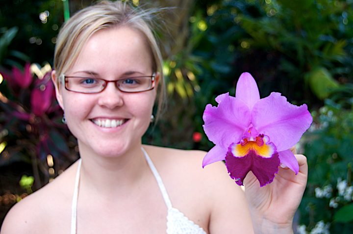 Orchid