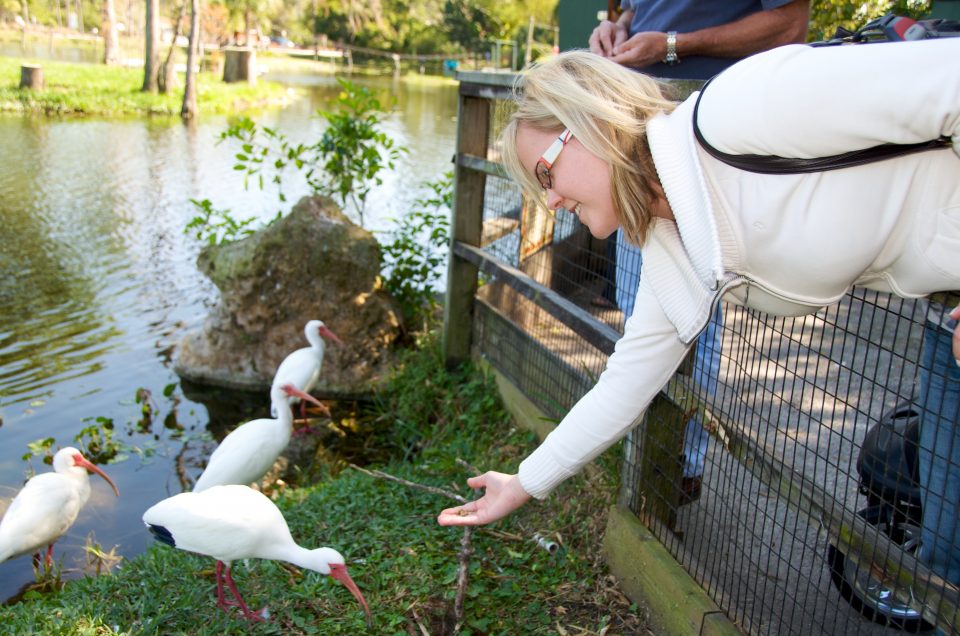 Dorothy feeding the birds