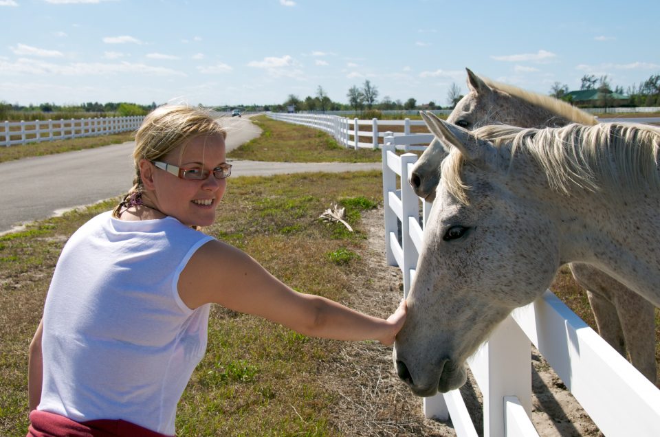 Dorothy and Horses