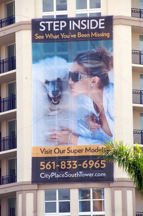 Demographic in Palm Beach
