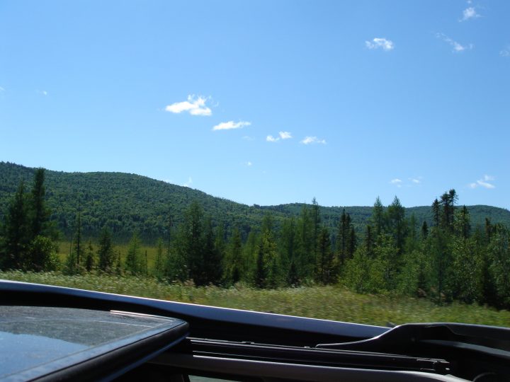DSC03578