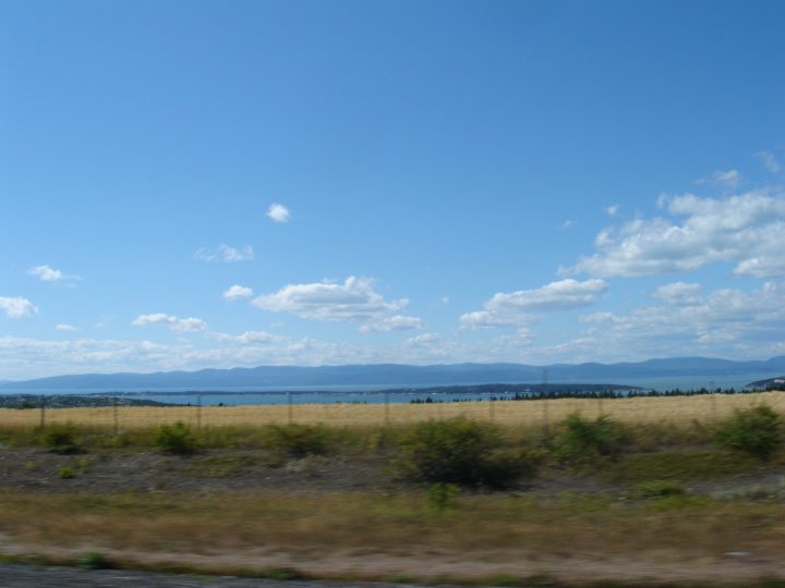 DSC03595