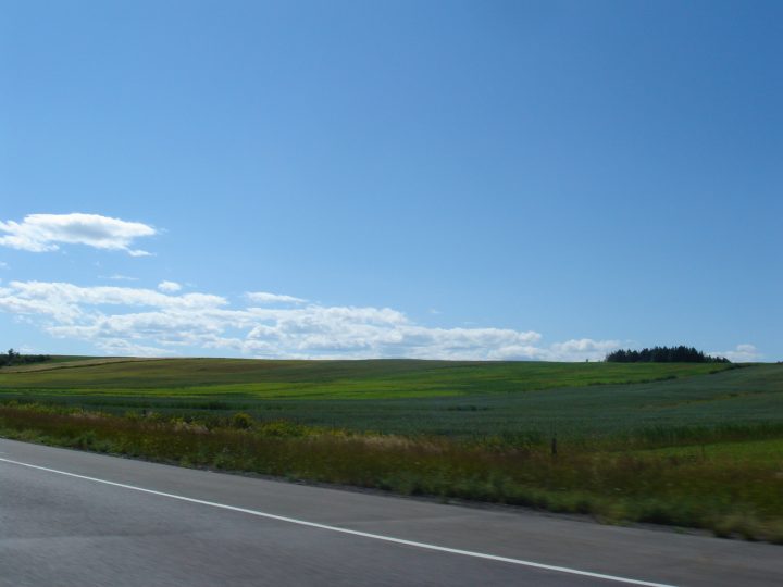DSC03610