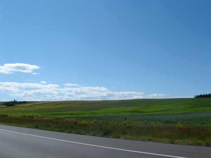 DSC03611