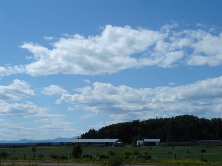DSC03615