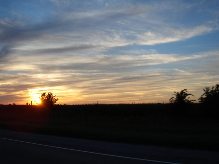 DSC03642