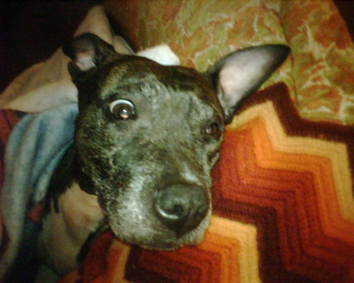 IMG00027.jpg