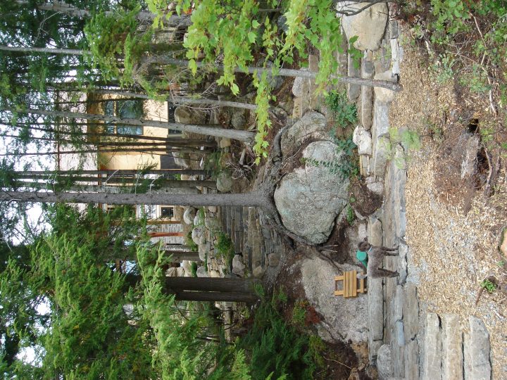 coco admires the landscaping Duncan.co