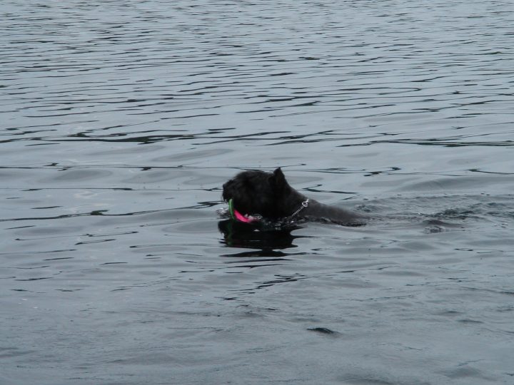 Yuka and her frisbee