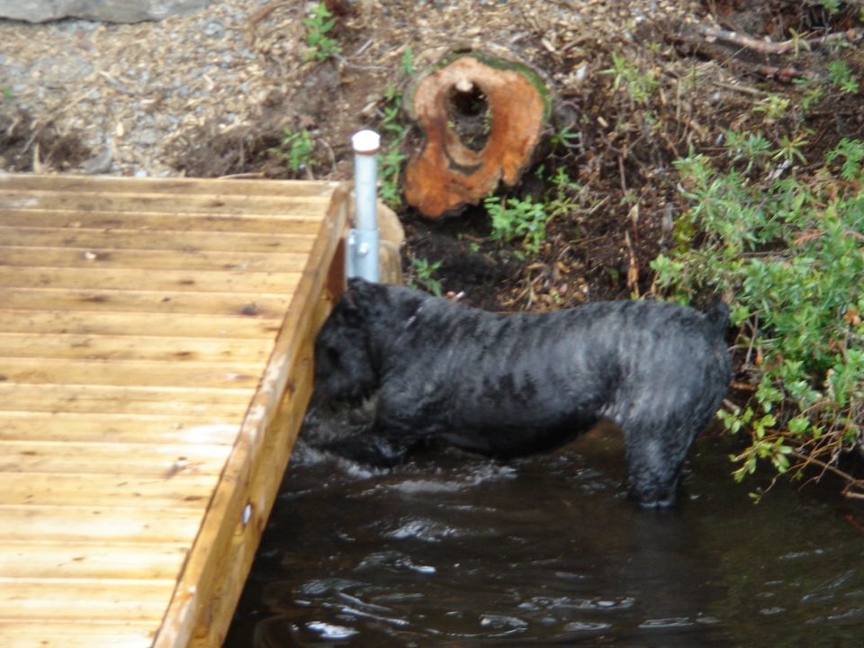 Yuka reaches for her stick