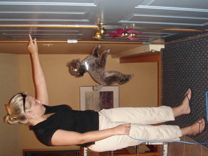 air coco flies again!