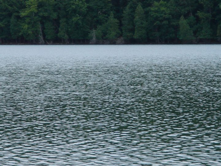 water and trees ? how boring