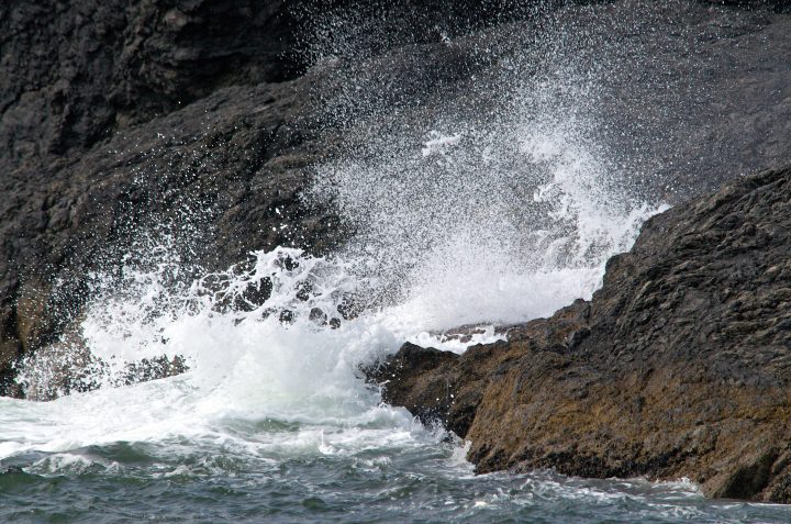 splash