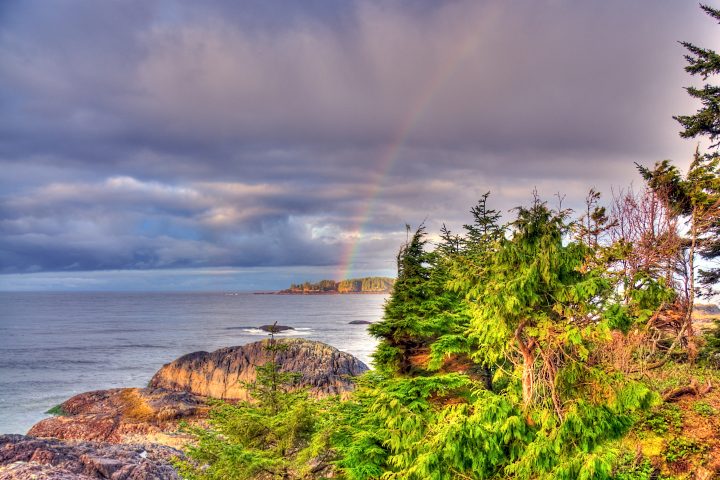 rainbow
