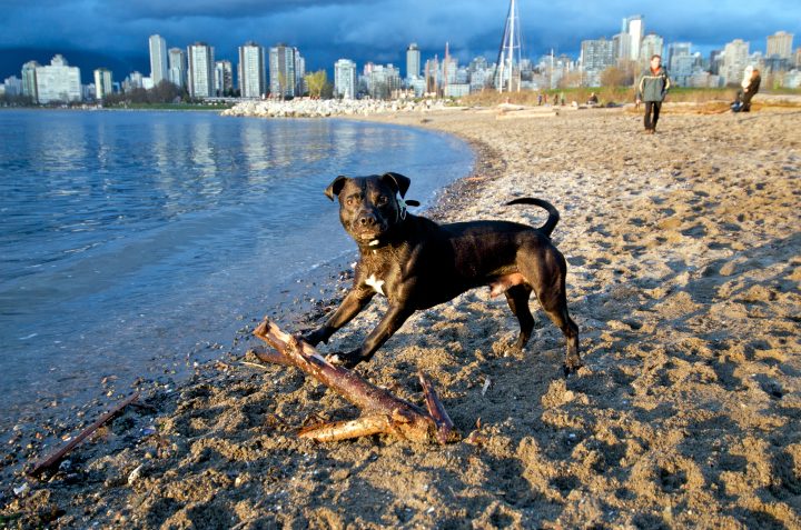 This is mah log
