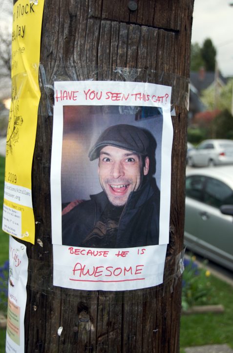 Sign I made for Rick: Have You Seen This Cat?