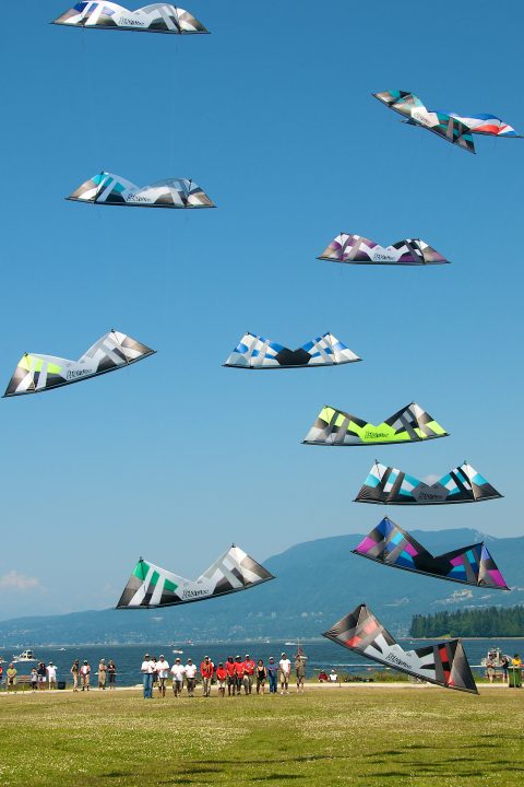 Kites
