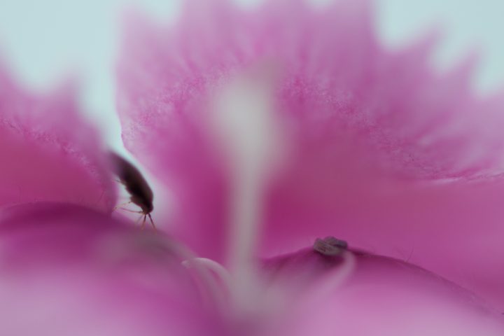 Otherworld