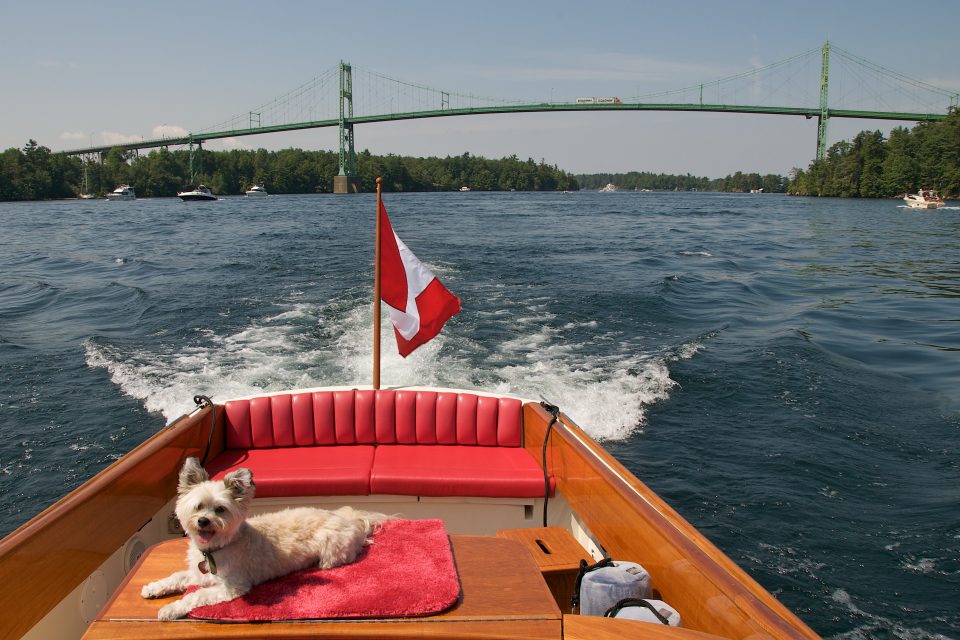 Pepper Likes Boating