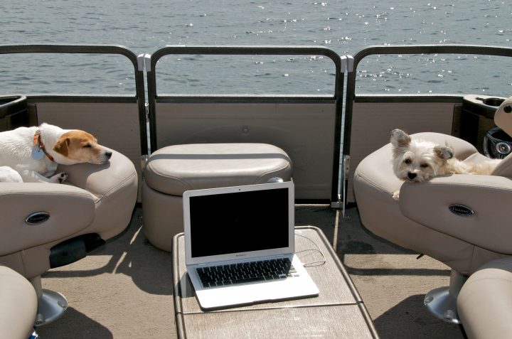 Streaming Doggies