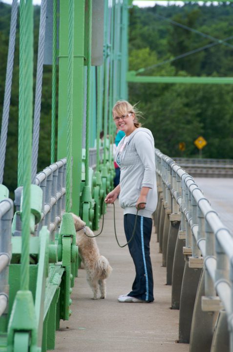 Suicidal Dog