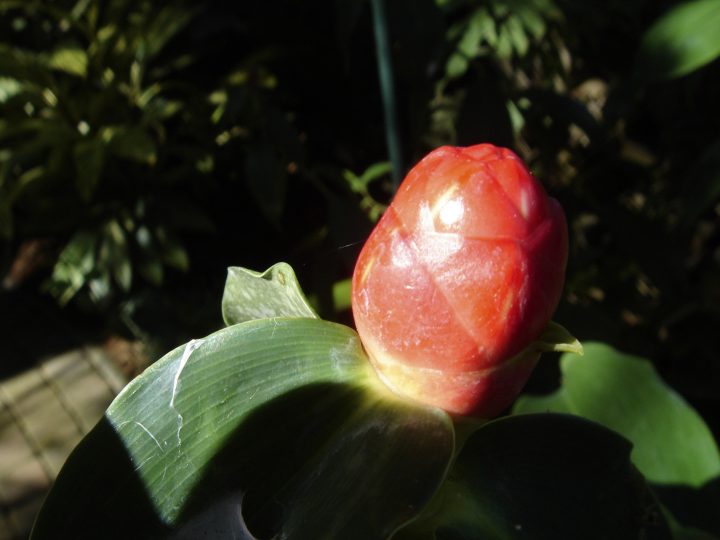 DSC00586