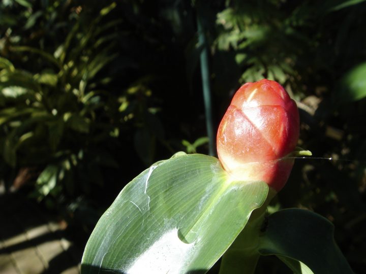 DSC00587