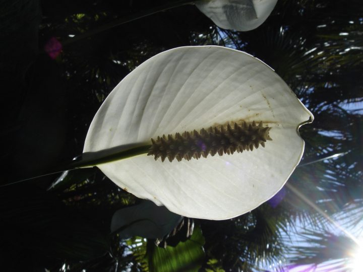 DSC00588