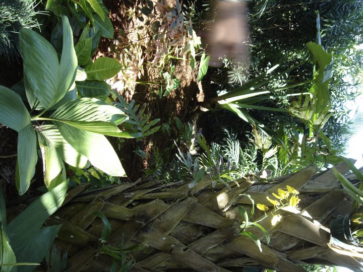 DSC00590