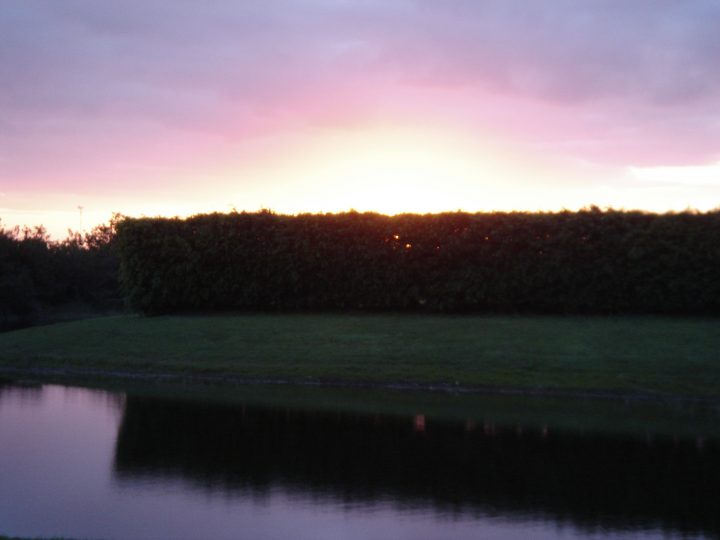 DSC00701