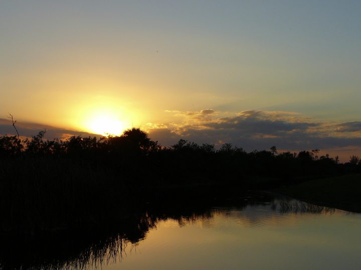 P1010333