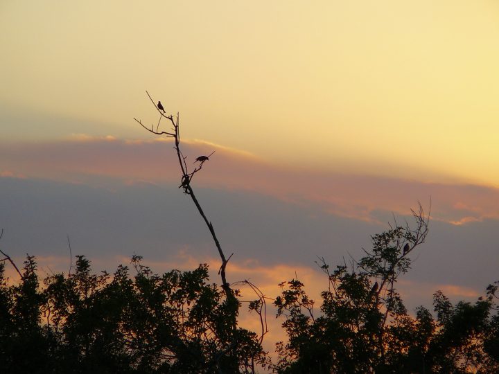 P1010339