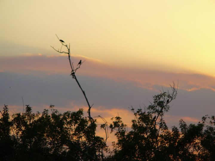 P1010340