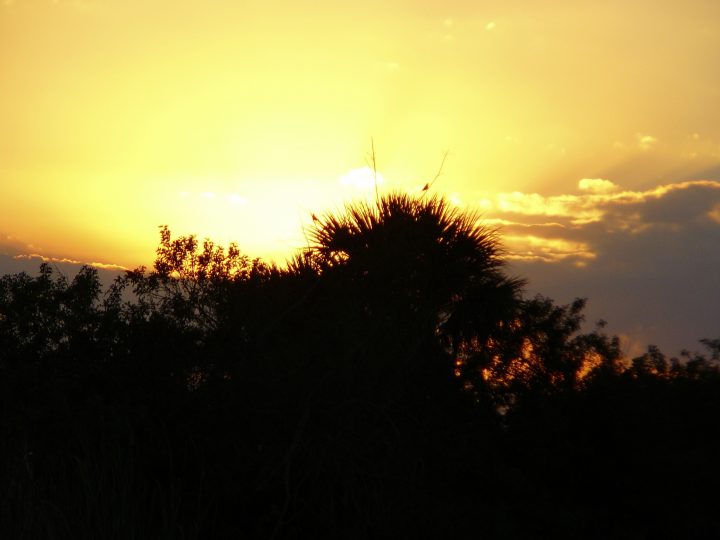 P1010344