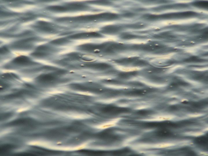 P1010351