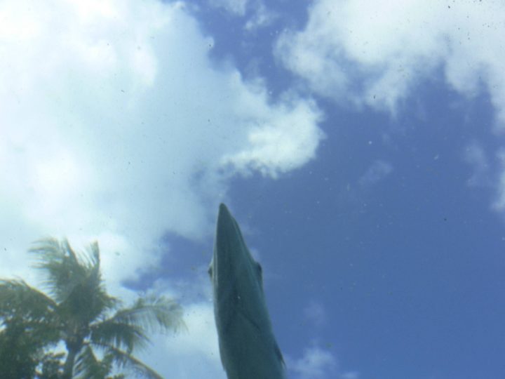 P1040940