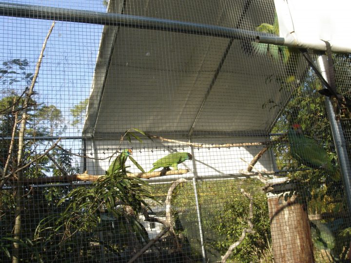 DSC00727