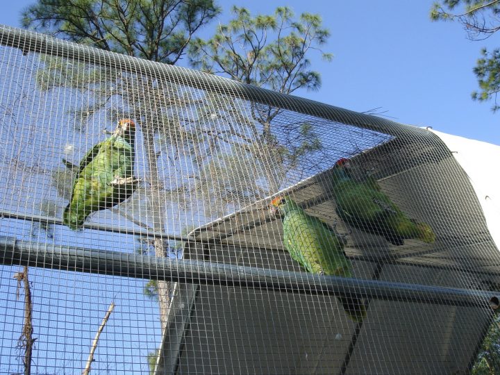 DSC00728