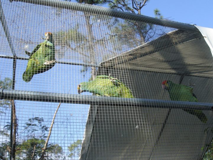 DSC00729