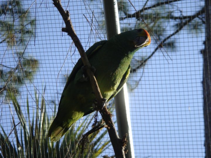 DSC00735